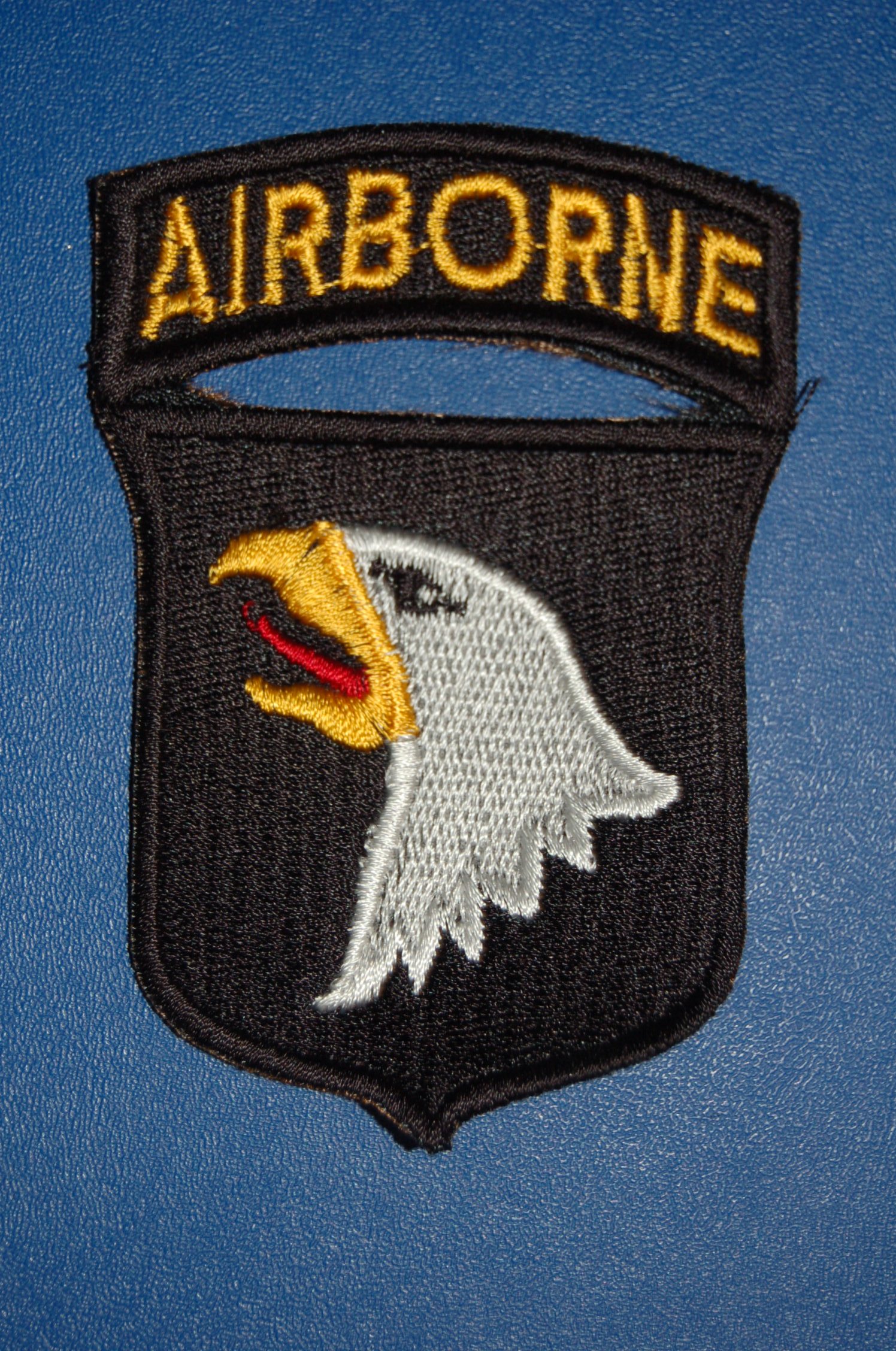DSC_0231.jpg